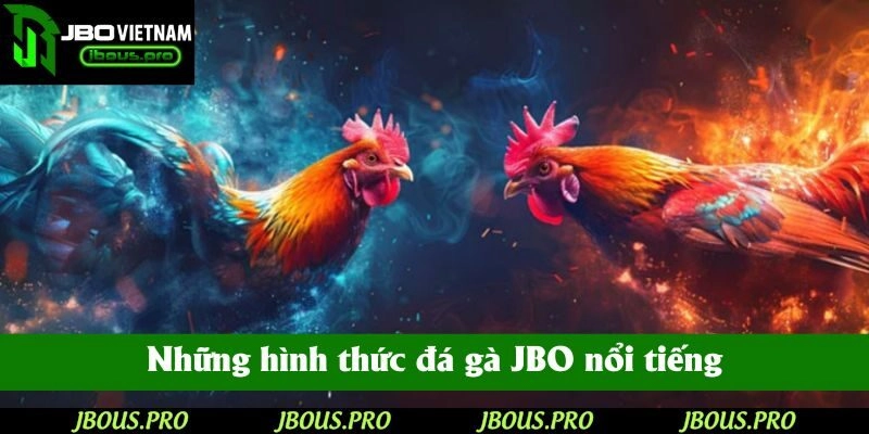 Những hình thức đá gà JBO nổi tiếng trên thị trường